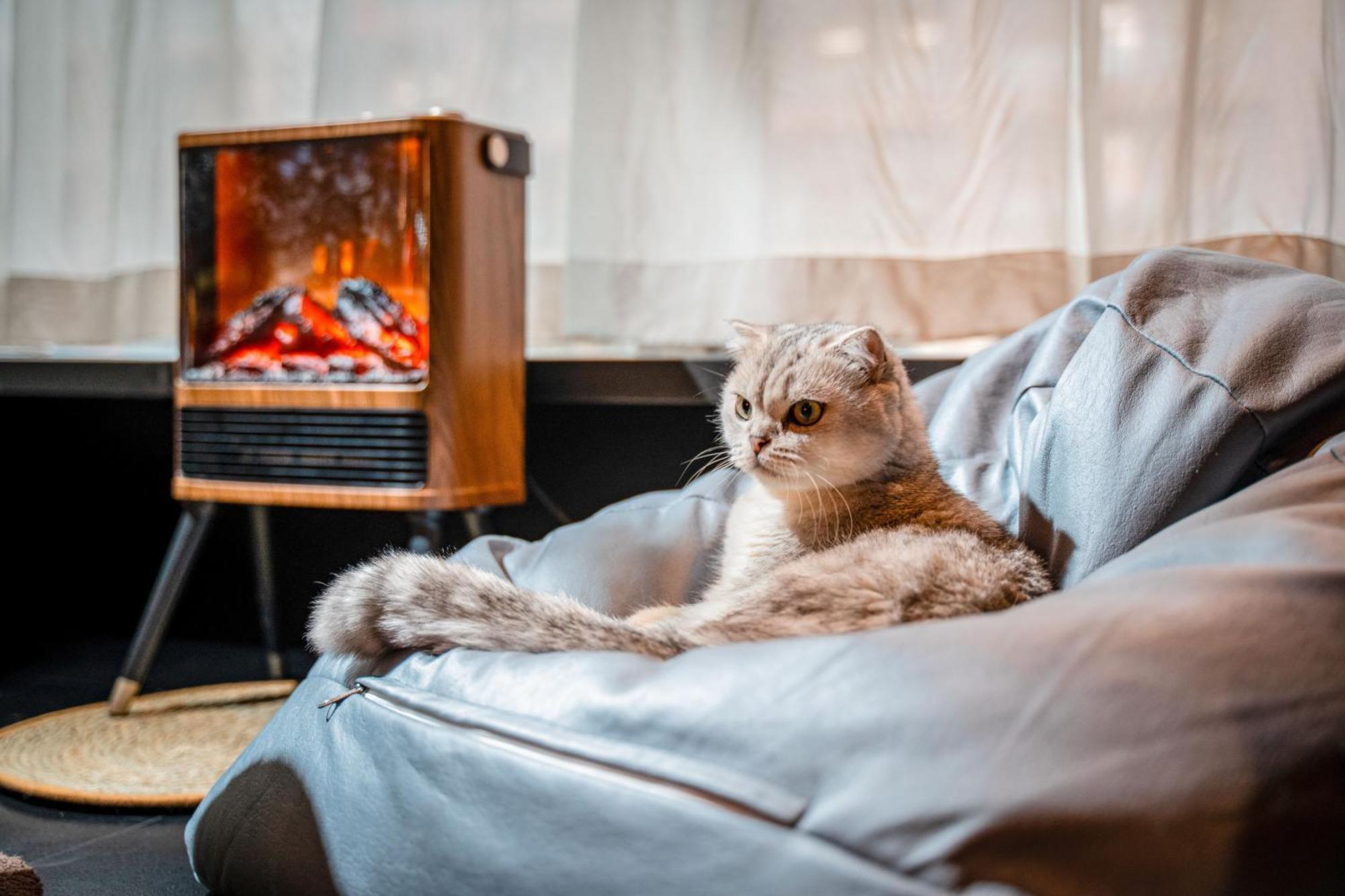 Hesu Designer Hotel & Suites -Near Xi'An Drum Tower And Yongning Gate -Free Laundry Luggage Storage -Kitty Cafe With Freshly Ground Coffee -24H Front Desk -English Service -Exclusive Subsidies For Dumpling Banquet & Show Exterior photo